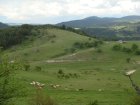 064-DSC08120.JPG.small.jpeg