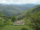 065-DSC08121.JPG.small.jpeg