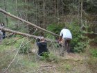 068-DSC08124.JPG.small.jpeg