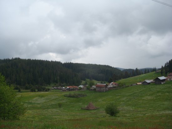 071-DSC08129.JPG.medium.jpeg