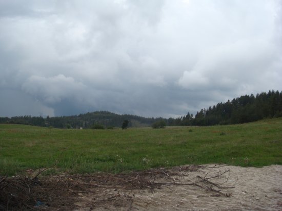 074-DSC08132.JPG.medium.jpeg