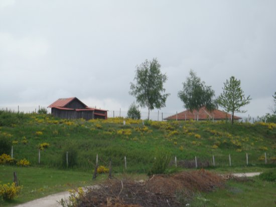 076-DSC08134.JPG.medium.jpeg