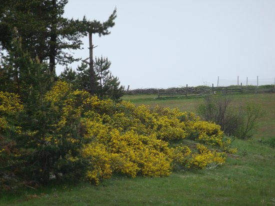 077-DSC08135.JPG.medium.jpeg