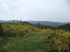 078-DSC08136.JPG.small.jpeg