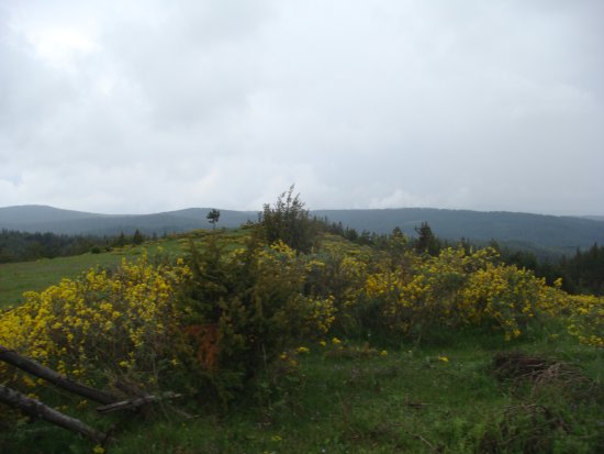 079-DSC08137.JPG.medium.jpeg