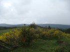 079-DSC08137.JPG.small.jpeg