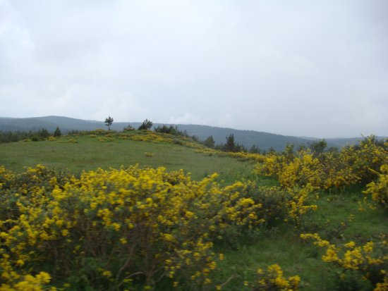 080-DSC08138.JPG.medium.jpeg