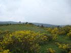 080-DSC08138.JPG.small.jpeg