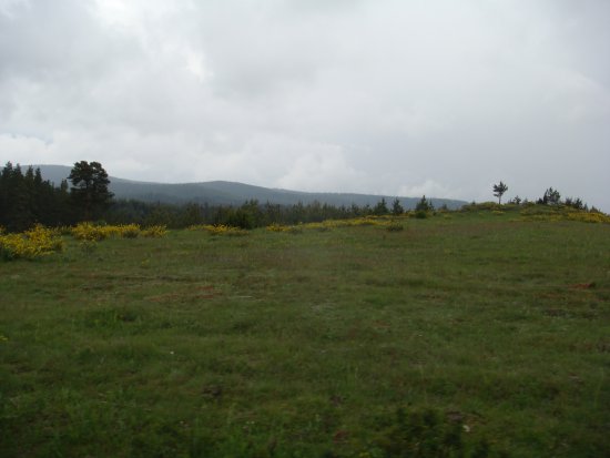 081-DSC08139.JPG.medium.jpeg