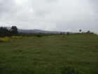 081-DSC08139.JPG.small.jpeg
